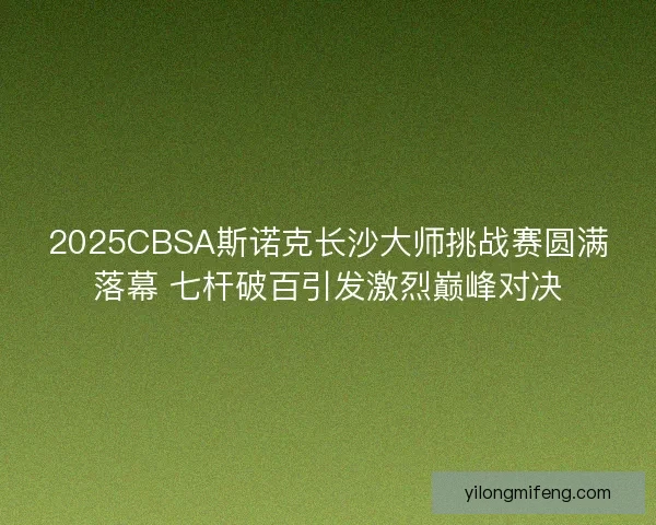 2025CBSA斯诺克长沙大师挑战赛圆满落幕 七杆破百引发激烈巅峰对决
