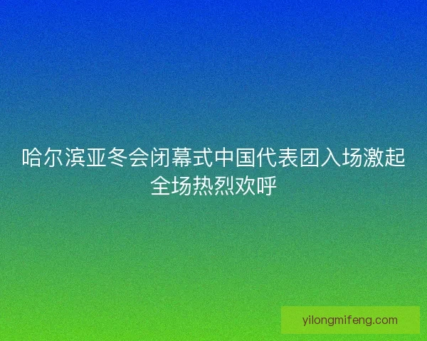 哈尔滨亚冬会闭幕式中国代表团入场激起全场热烈欢呼
