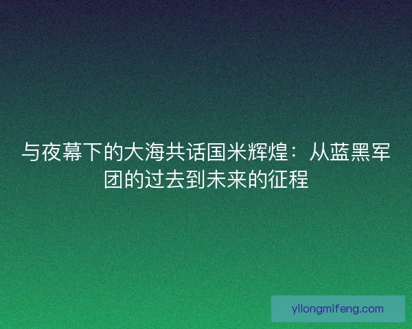 与夜幕下的大海共话国米辉煌：从蓝黑军团的过去到未来的征程